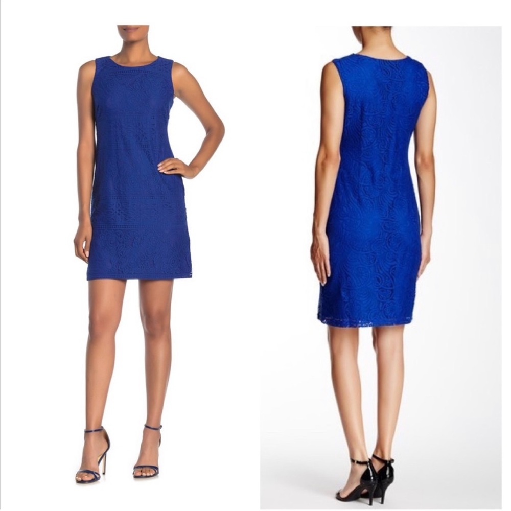 NWT Eliza J Sleeveless Lace Dress in Royal Blue Size 0